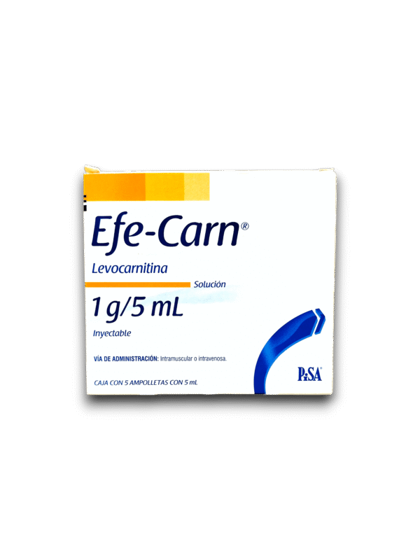 L-CARNITINA 1 G /5 ML AMP (PISA)